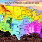 Understanding Plant Hardiness With Example Guide