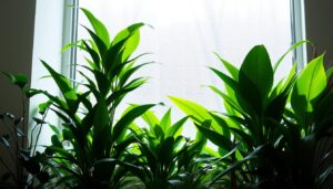 Read more about the article Best Tall Indoor House Plants for Low Light Conditions