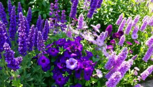 Read more about the article Beautiful Purple Plants to Add Color to Your Garden